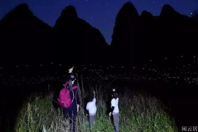 小熊救援
